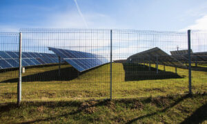 Une ferme solaire protégée par une cloture grillagée
